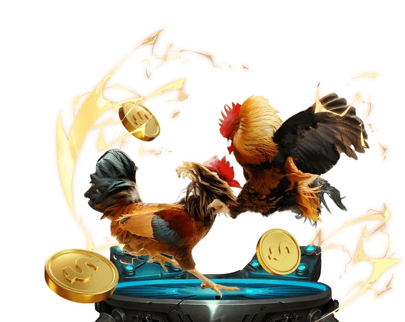 Hoàn trả cược thua 11uu